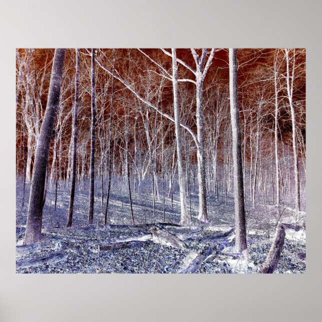 Póster Off the Path version 2 (Frente)