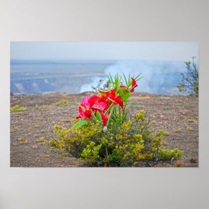 Póster Ofrenda a Pele, Diosa hawaiana de los volcanes