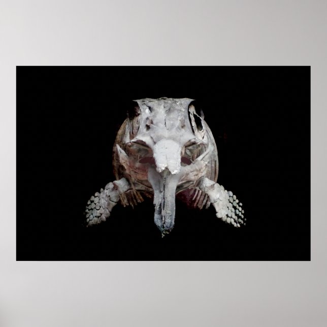 Póster Oftalmosaurio (Frente)