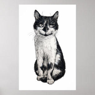 Póster Ogie el gato