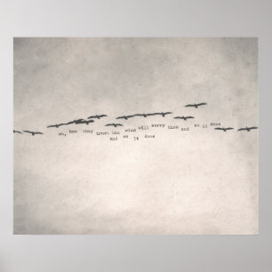 Póster "oh, cómo confían"