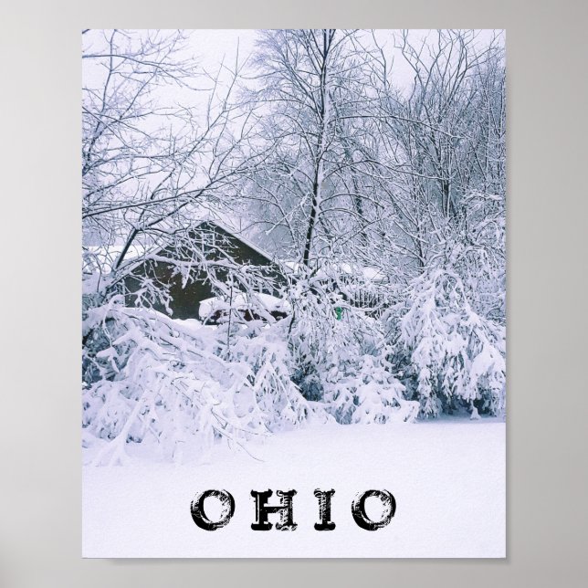 PÓSTER OHIO EN INVIERNO 2020 (Frente)