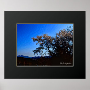 Póster Ohuda-Hongo, Nara: Florecimiento del cerezo ポ ス タ.