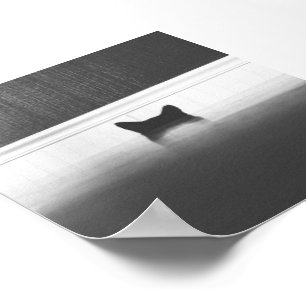 Póster Oídos de gato