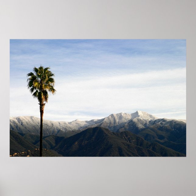 Póster Ojai Palm (Frente)