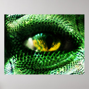 Póster ¿Ojo...?