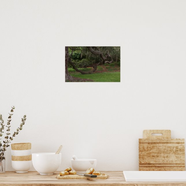 Póster Ojo antiguo (Cocina)
