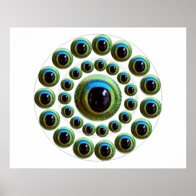 Póster Ojo de Dragon - Colección china de Goodluck (Frente)