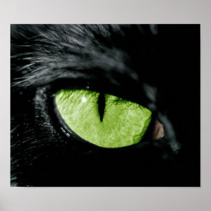 Póster Ojo de gato