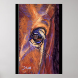Póster Ojo de un pura sangre