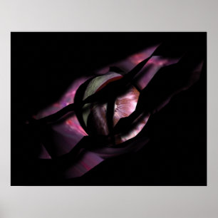 Póster Ojo del Dragón a través de la lágrima