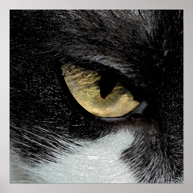 Póster Ojo del tigre (Frente)