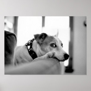 Póster Ojo Lado Serio.