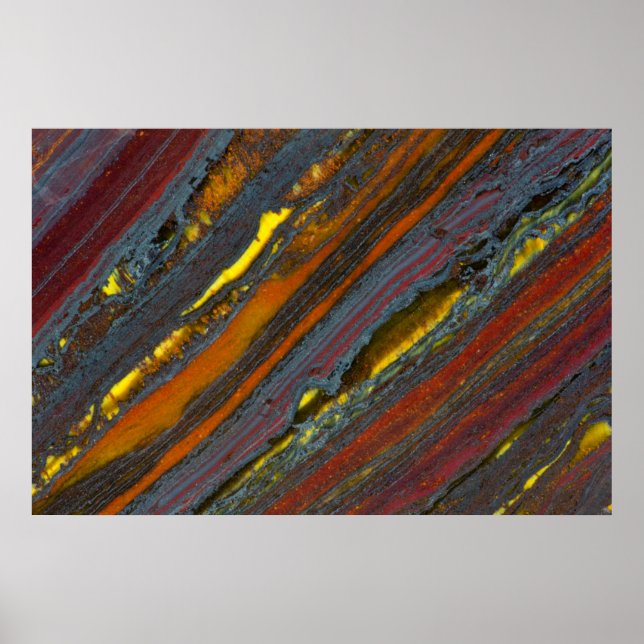 Póster Ojo tigre australiano a rayas (Frente)