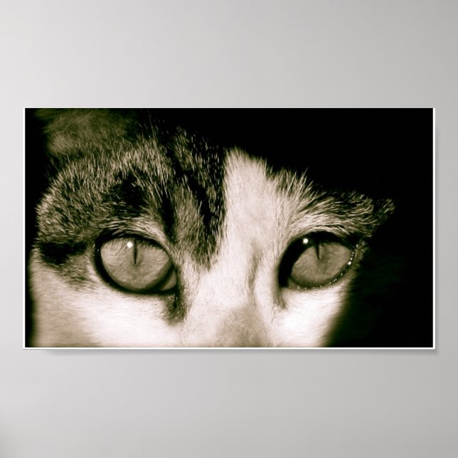 Póster Ojos (Frente)