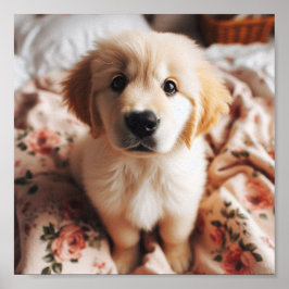 Póster ojos adorables de perrito de Golden Retriever