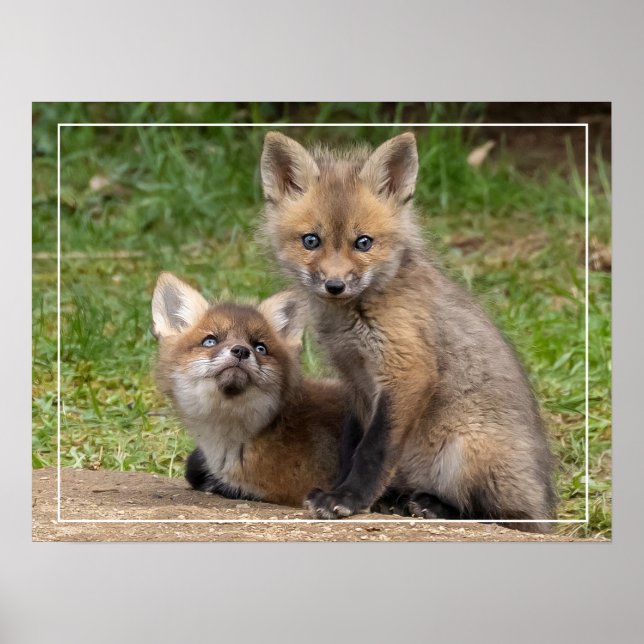 Póster Ojos amorosos (Frente)