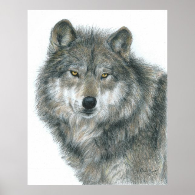 Póster "Ojos atormentados" Poster del lobo por la artista (Frente)