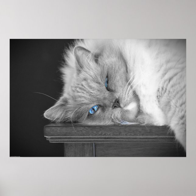 Póster Ojos azules, (Frente)