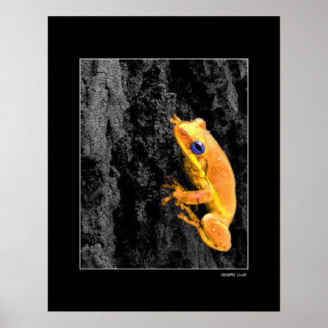 Póster Ojos azules (Frente)