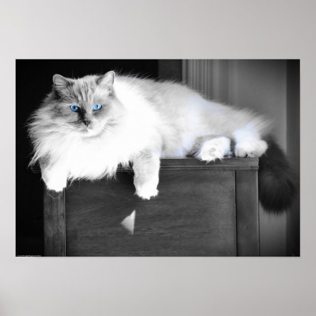 Póster Ojos azules, (Frente)