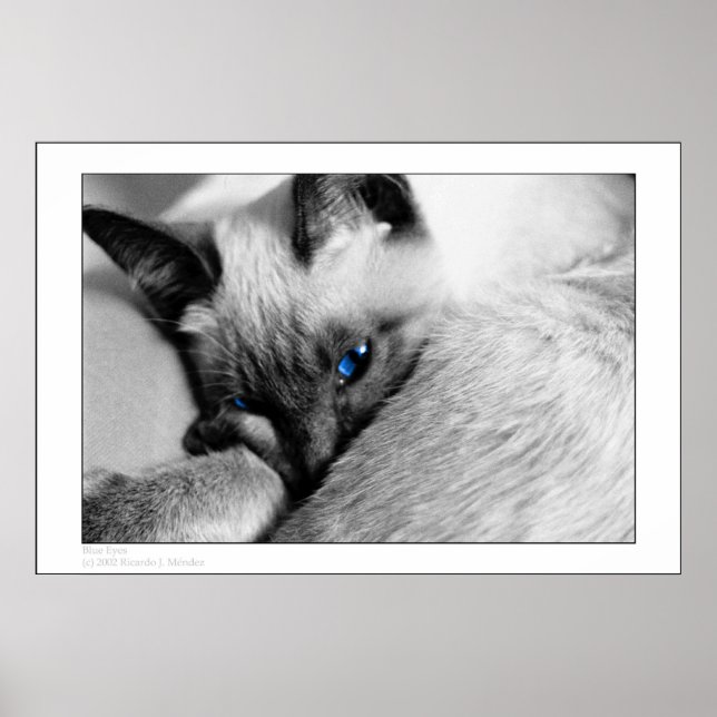 Póster Ojos azules (Frente)