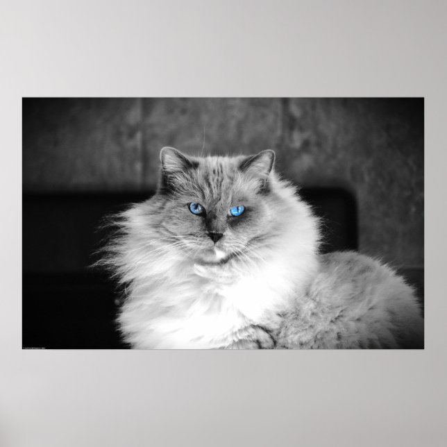 Póster Ojos azules, (Frente)