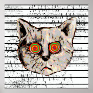 Póster ojos de espiral de gatos locos graciosos
