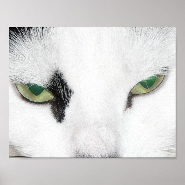 Póster Ojos de gato (Frente)
