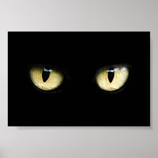 Póster Ojos de gato (Frente)