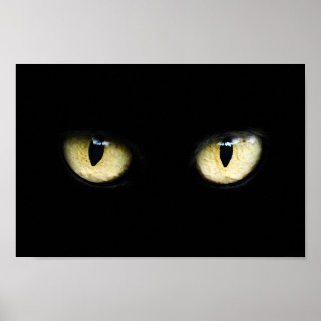 Póster Ojos de gato (Frente)