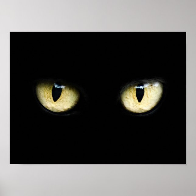 Póster Ojos de gato (Frente)