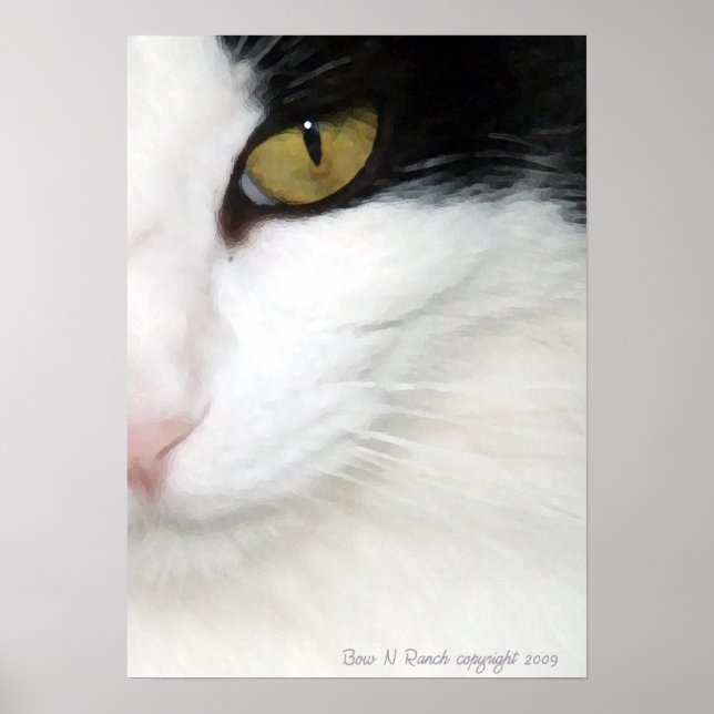 Póster Ojos de gatos (Frente)