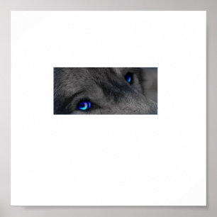 Póster Ojos de lobo