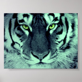 Póster Ojos de tigre