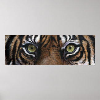 Póster Ojos de tigre