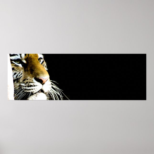 Póster Ojos de tigre (Frente)