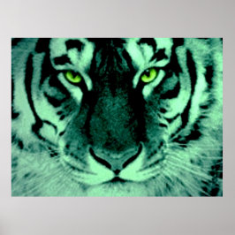 Póster Ojos de tigre