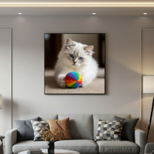 Póster Ojos de Zafiro y Diversión Colorida