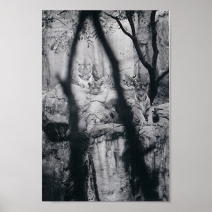 Póster Ojos del tigre