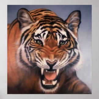 Póster Ojos del tigre
