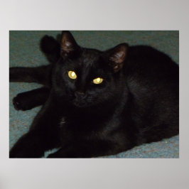 Póster Ojos dorados