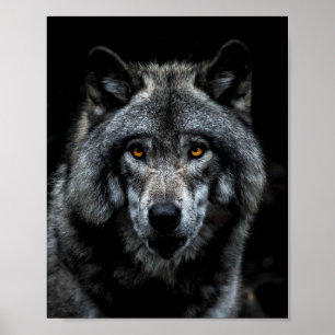 Póster Ojos Naranjas Lobo Animal Salvaje Naturaleza