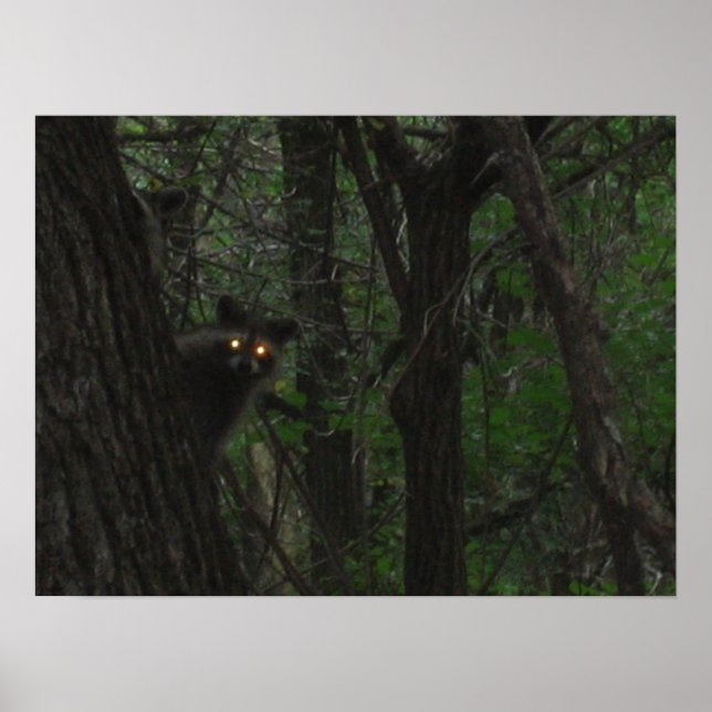 Póster Ojos nocturnos (Frente)