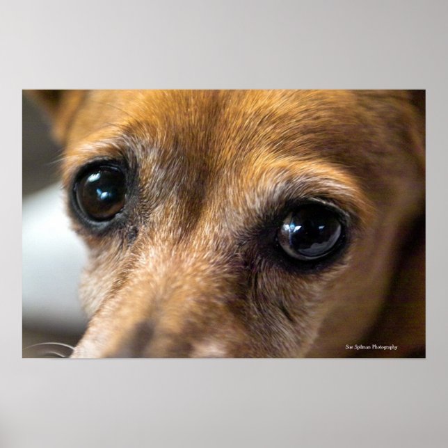 Póster Ojos tristes (Frente)