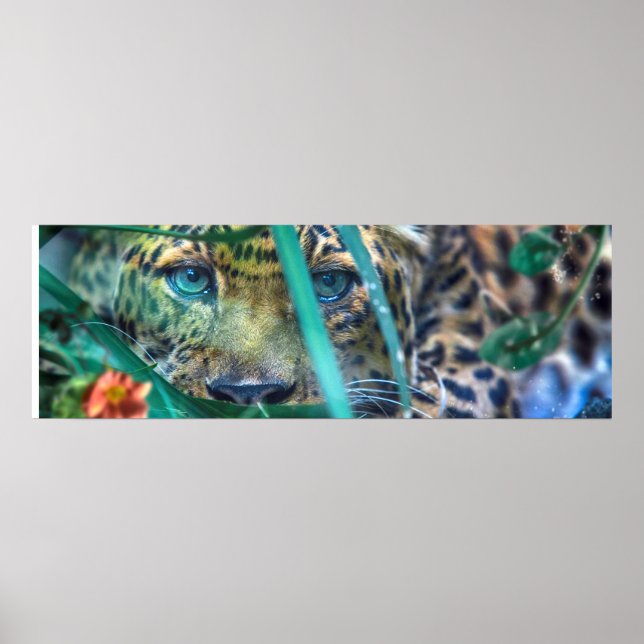 PÓSTER OJOS VERDES DE LEOPARDO QUE MIRA FIJAMENTE (Frente)