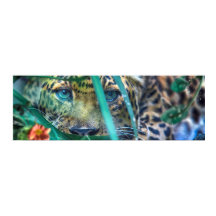 OJOS VERDES DE LEOPARDO QUE MIRA FIJAMENTE