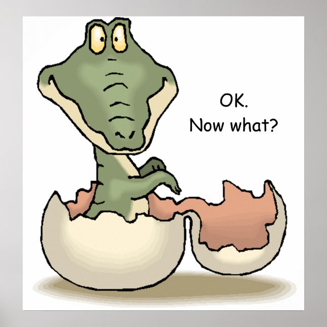 Póster OK. Now what? (Frente)