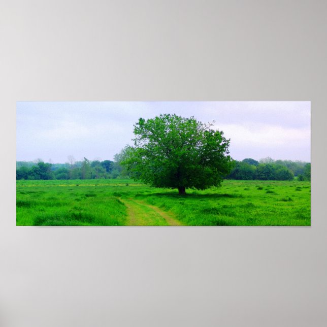 Póster Oka’ Yanahli (color saturado) (Frente)