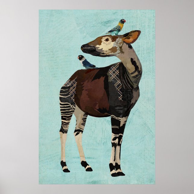 PÓSTER OKAPI & FEATHERS (Frente)